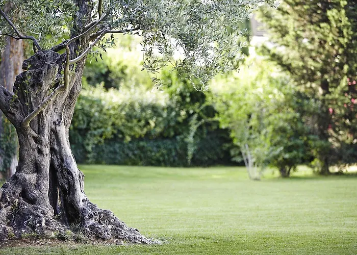 Novotel Metz Amneville 4* Maizières-lès-Metz